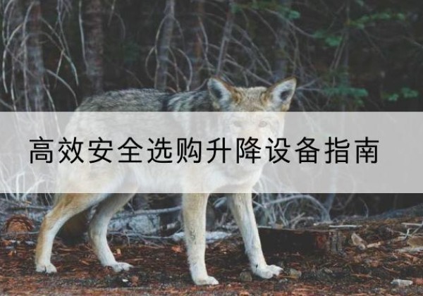 汤旺升降货梯厂家推荐-*安全选购升降设备指南