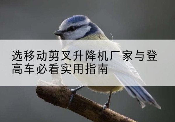 汤旺电动升降机厂家-选移动剪叉升降机厂家与登高车必看实用指南